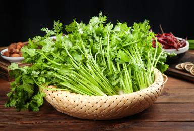 香芹西芹老是分不清？惠州食材配送中心教你區分！